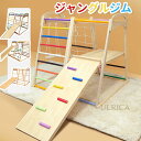 P10倍!ジャングルジム 室内 上り台 ブランコ 木製 キッズ 子供 玩具 大型玩具 安全 子供部屋 高品質 組立簡単 大型遊具 天然木 誕生日 プレゼント ギ...