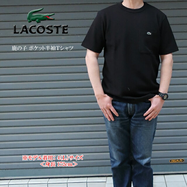 ラコステ lacoste 半袖t メンズ 鹿の子 ポケット半袖Tシャツ th4921-99 4/5/L/XL