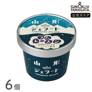 SUN&LIV 山形ジェラート ラムレーズン 6個セット ｜アイスクリーム スイーツ ギフト お取り寄せ お中元 お歳暮 内祝い おしゃれ かわいい サン＆リブ 山形食品