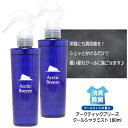 アークティックブリーズ クールシャツミスト180ml Arctic Breeze 衣類用 涼感 ミスト スプレー クールミント 清涼感 消臭 除菌 猛暑対策