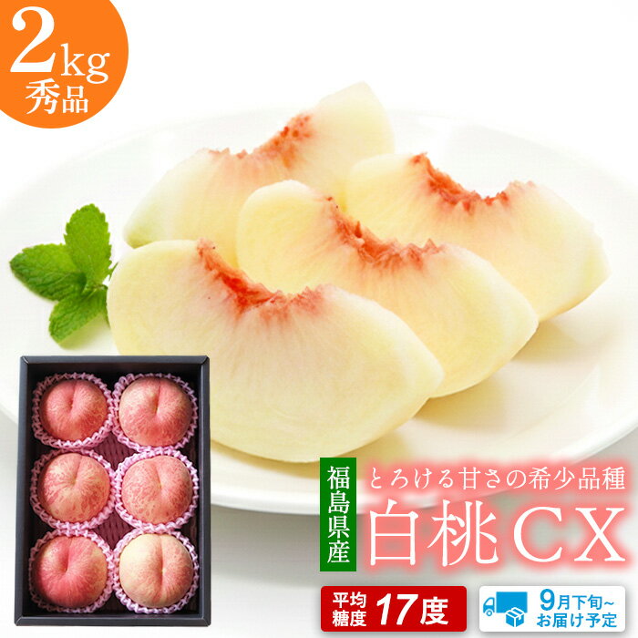 福島県産 白桃CX 秀品L 約2kg（6～8玉）【送料無料】 福島産 桃 もも モモ 福島 国産 福島県産桃 福島の桃 福島もも 贈答品 美味しい桃 甘い桃 硬め 柔らかめ おいしい 贈答用 フルーツギフト 旬の果物 くだもの 果物 フルーツ ギフト 贈答 贈り物 喜ばれる プレゼントのサムネイル