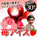 【送料無料】まるごと苺アイス 30粒(贈り物 ギフト 苺 いちご イチゴアイス あいす 練乳アイス ミルク 母の日 父の日 お誕生日 お土産)【RCP】