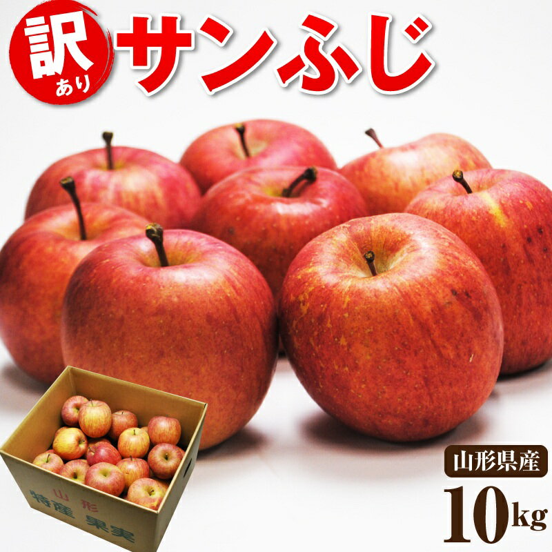 【訳あり】山形県産 樹上完熟サンふじ林檎 約 10kg送料無料 業務用 バラ詰め 加工用山形 サンふじりんご 訳アリ りんご リンゴ ふじ フジ サンふじ 山形...