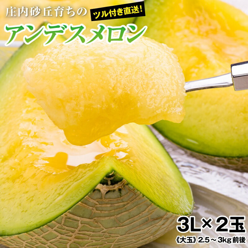 楽天旨幸お中元 ご贈答用に最適！アンデスメロン 大玉《秀品》3L×2玉（約2.5〜3kg前後）【送料無料】メロン めろん 青肉 山形 旬の果物 メロン秀品 旬のフルーツ くだもの ギフト 庄内メロン 高級メロン 美味しい 贈答 用 お見舞い プレゼント 高級 お中元 夏ギフト 御中元