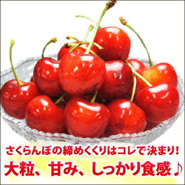 さくらんぼ紅秀峰1kgLサイズ 秀品 バラ詰山形県東根産露地栽培【送料無料】【7/1頃〜7/20頃発送】【RCP】