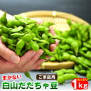 訳あり白山だだちゃ豆1kg ご家庭用山形県鶴岡市産 だだ茶豆 枝豆 えだまめ 送料無料※発送は8月中旬頃から順次発送。※収穫の状況に応じて発送日が変動する場合がございます。【全国冷蔵便配送】