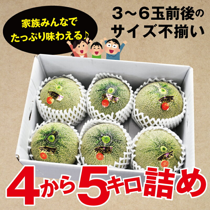 訳あり青肉メロン 4~ 5kg前後(3〜6玉)庄内砂丘産【送料無料】メロン めろん 青肉 ...