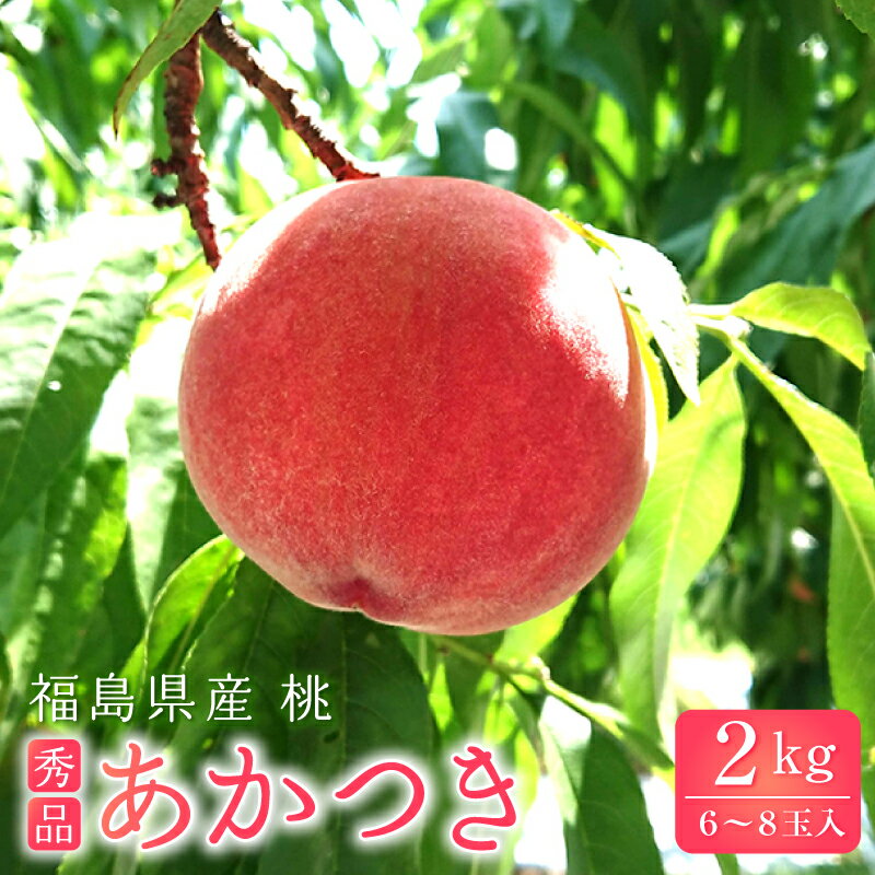 桃 もも モモ 福島産桃 秀品あかつき 約2kg(約6〜8玉) 送料無料 福島産 福島のもも 福島の桃 あかつき 福島県 果物 あかつき桃 名産品 美味しい桃 お中元 御中元フルーツ 旬の果物 旬の果実 フルーツ詰め合わせ 産地直送 箱入り 福島あかつきもも 福島あかつき桃 福島県産桃のサムネイル