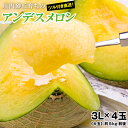 お中元、ご贈答用に最適!アンデスメロン大玉《秀品》 3L×4玉(約5kg前後)【送料無料】メロン めろん 青肉 山形 旬の果物 メロン秀品 旬のフルーツ くだも...