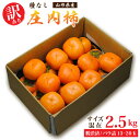 訳あり 山形県産種無し庄内柿 約2.5kg (お試し) 訳あり柿 フルーツ 送料無料 美味しい柿 ひらたねかき たねなし柿 種無し柿 種なし 旬サイズ混在(13...