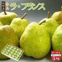 ご家庭用・ご贈答用・お歳暮にラ・フランス秀品約5kg 産地箱中玉L~2L(10~20玉)【送料無料】ラフランス 洋梨 梨 なし ギフト お歳暮 山形産出荷予定は11月中旬~12月末頃