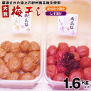 梅干し 梅干 大粒紀州南高梅1.6kgセット組み合わせを3パターンからお選びください。 【送料無料】【 うめぼし ウメボシ 梅干 】紀州南高梅 はちみつ しそ 紀州 南高梅 紀州梅 しそ梅 しそ梅干し はちみつ梅 はちみつ梅干し 蜂蜜梅干し 食べ比べ 詰め合わせ
