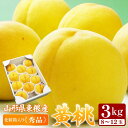 山形県東根産 黄桃秀品約3kg(8〜12玉前後) 化粧箱入り ご贈答用【送料無料】※もも、モモ、ピーチ、おうとう、山形産、産地直、ご贈答に最適、