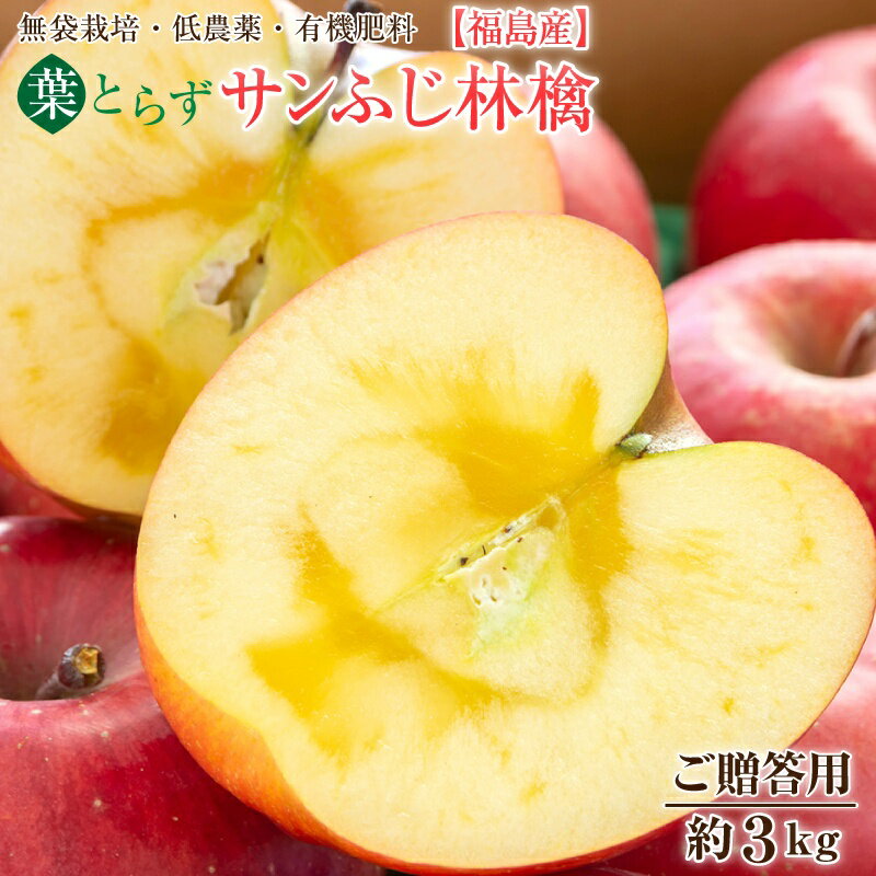 福島産 葉とらず ふじ サンふじ林檎 贈答用 約 3kg (7〜11玉） 秀品 【送料無料】リンゴ りんご サンふじりんご 蜜入り サンふじ 林檎 サンフジ 蜜入りりんご 蜜入りサンふじ 蜜入りリンゴ サンフジりんご ふじりんご 葉取らずりんご 福島県ふじリンゴのサムネイル