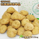 北海道産 の 新じゃがいも キタアカリ(約5kg)M~2Lサイズ北海道 秋の収穫祭単品じゃがいも ジャガイモ 芋 イモ きたあかり 秋 北海道じゃがいも 北海道産じゃがいも 新じゃが 秋ジャガイモ 北あかり 高級 送料無料 箱 買い 甘い じゃがバター