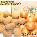 北海道産 キタアカリ・玉ねぎ(各約5kg)計約10kg 北の収穫2点セットじゃがいも ジャガイモ 芋 イモ タマネギ たまねぎ セット 北海道じゃがいも きたあかり きたあかりじゃがいも 北あかり 北海道玉ねぎ ジャガイモ玉ねぎ 野菜セット 北海道グルメ