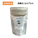 発酵まこもカプセル 2号サイズ 100粒入り まこも菌 発酵 腸活 マコモ 真菰