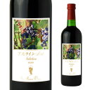 下北ワインArtSelection2020 720ml 【ピノ・ノワール メルロ 北の夢 青森県 むつ市 日本ワイン ワイン プレゼント ギフト 母の日 父...