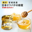 送料無料【数量限定!】 日本ミツバチ はちみつ 宮城県産 非加熱 生はちみつ 百花蜂蜜 百花蜜 希少 ニホンミツバチ にほんみつばち 国産