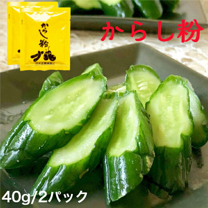 [お試しサイズ]からし粉40g×2袋 【ゆうパケット・送料無料】浅漬けの素 漬物の素 粉末 からし漬け 辛子漬け からし カラシ漬 浅漬けの素 漬け物の素 浅漬け あっさり漬 一夜漬け きゅうり なす 調味料 山形 大正館食品 おためし