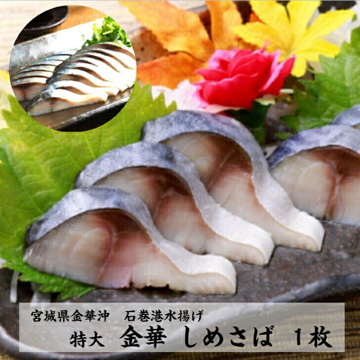 【金華サバ】美味しい金華サバを使ったしめ鯖のおすすめは？