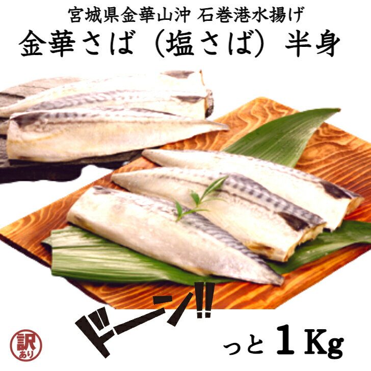 訳あり 金華塩さば半身 （腹骨取り） 1kg 送料無料 金華さば 金華サバ 金華鯖 塩さば 塩サバ サバ 金華 鯖 半身 1キロ 魚料理 さば 切り身 冷凍 魚介 食品 ダイエット食 東北 宮城 産地直送 産直 美味しい おいしい お取り寄せグルメ 魚 プレゼント