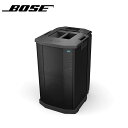 BOSE F1 SUBWOOFER S̓{KiI