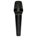 LEWITT MTP 840 DM 安心の日本正規品!おすすめボーカルマイク!
