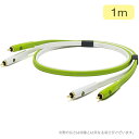 OYAIDE d+RCA class B yA 1.0m P[u