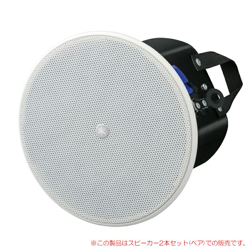 dBTechnologies WB-VIOX12H(国内正規品)