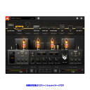 POSITIVE GRID BIAS AMP 2.0 ELITE ダウンロード版 【最短当日シリアル納品】【特価!在庫限り】