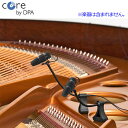 DPA 4099-DC-1-101-P (ピアノセット) 安心の日本正規品!