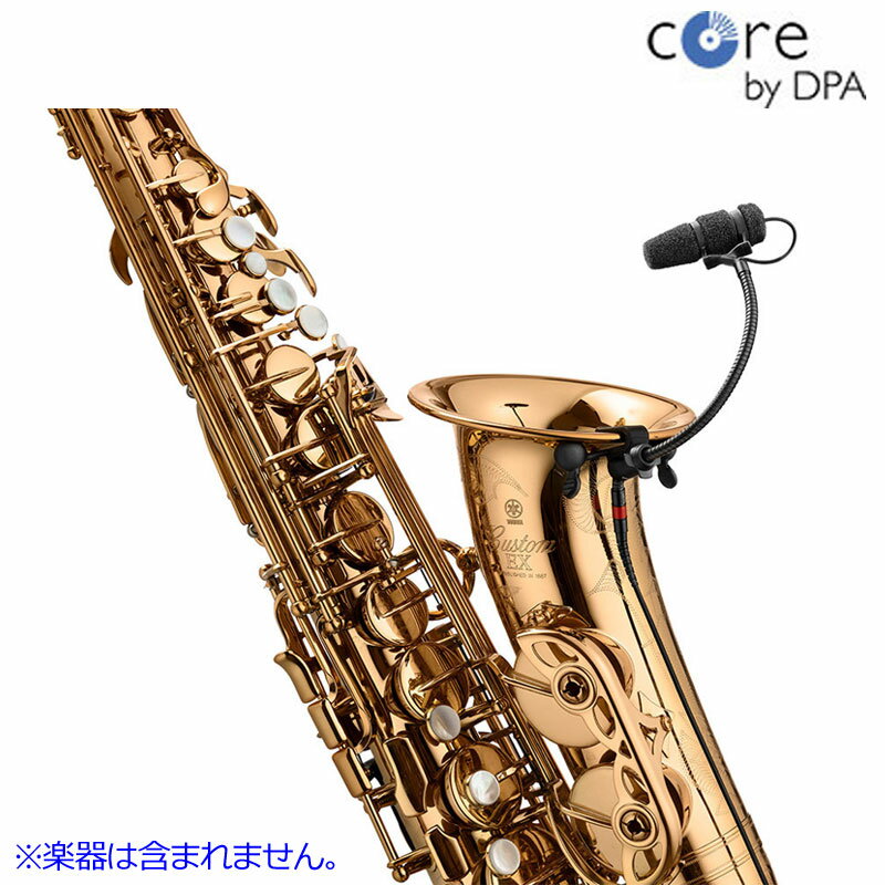 楽天市場】dpa 4099 guitar clipの通販 楽天市場】dpa 4099 guitar clipの通販