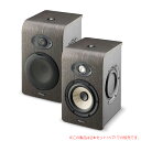 FOCAL SHAPE 50 2本ペア 安心の日本正規品！