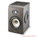 FOCAL SHAPE 65 1本単品 安心の日本正規品!