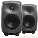 GENELEC 8030CP _[NO[ 2{yA S̓{KiI