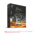 楽天サンフォニックス楽天市場店SYNTHOGY IVORY II STUDIO GRANDS ダウンロード版 【最短当日シリアル納品】【特価！在庫限り】