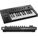 NATIVE INSTRUMENTS KOMPLETE KONTROL A25