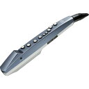 ROLAND Aerophone mini AE-01