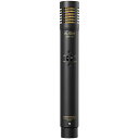 AUDIX ADX51 安心の日本正規品!