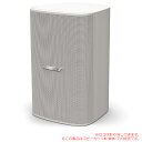 BOSE DESIGN MAX DM8S SINGLE WHT 1本単品 ホワイト 安心の日本正規品!【メーカー在庫限りで販売完了】
