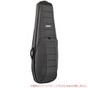 BOSE L1 PRO32 ARRAY & POWER STAND BAG S̓{KiI