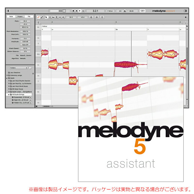 CELEMONY MELODYNE 5 ASSISTANT ѥå ¿ʡ