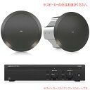 TANNOY CVS 601 + Lab Gruppen CA602 お勧めセット(スピーカー2本) 安心の日本正規品!【受注発注品】