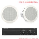 TANNOY CVS 301 Lab Gruppen CA602 お勧めセット(スピーカー2本) 安心の日本正規品！