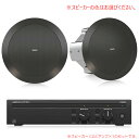 TANNOY CVS 401 + Lab Gruppen CA602 お勧めセット(スピーカー2本) 安心の日本正規品!【受注発注品】
