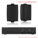 TANNOY DVS 4 + Lab Gruppen CA602 お勧めセット(スピーカー2本) 安心の日本正規品!【受注発注品】