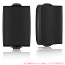 TANNOY DVS 4 2{yA ubN Ǌ|Xs[J[ S̓{KiI