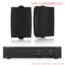 TANNOY DVS 6 + Lab Gruppen CA602 お勧めセット(スピーカー2本) 安心の日本正規品!【受注発注品】