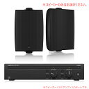 TANNOY DVS 6 + Lab Gruppen CA602 お勧めセット(スピーカー2本) 安心の日本正規品！